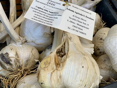 aglione garlic from valdichiana